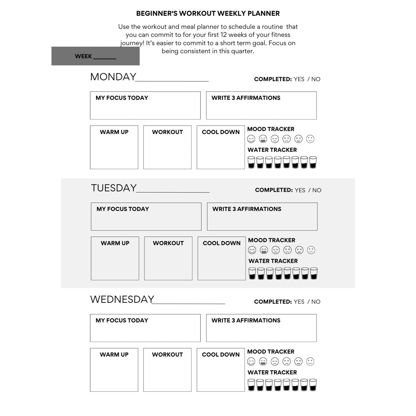 FITNESS PLANNER